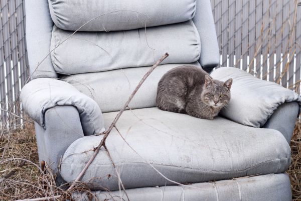 Recliner Disposal in Bethesda